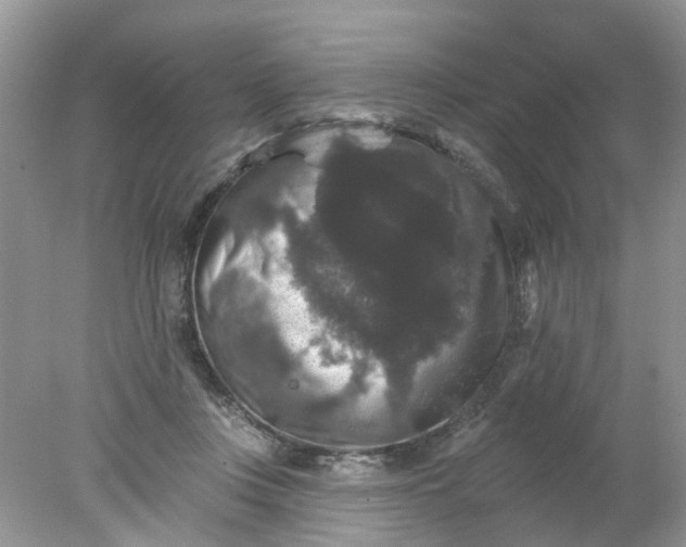 X0000078030359200611101919