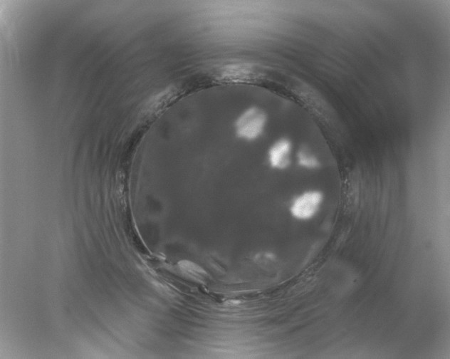 X0000078030361200611101919