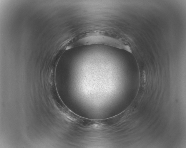 X0000078030364200611101919