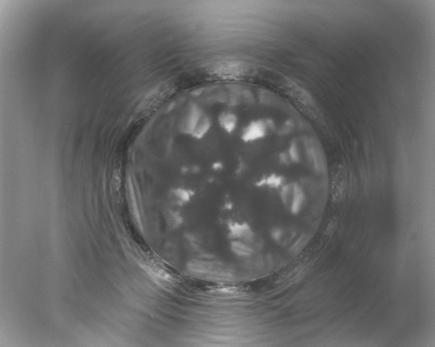 X0000078030365200611101919