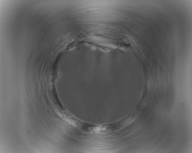 X0000078030366200611101919