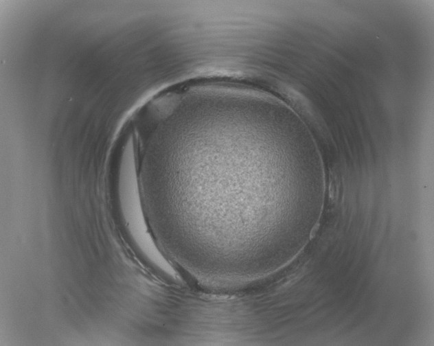X0000078030388200611101918