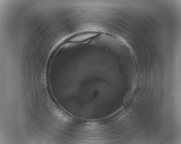 X0000078030391200611101918