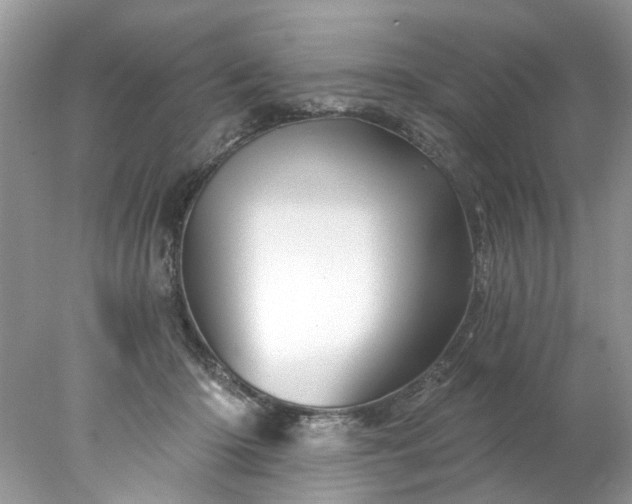 X0000078030414200611101918