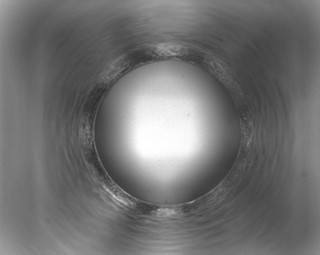 X0000078030418200611101918
