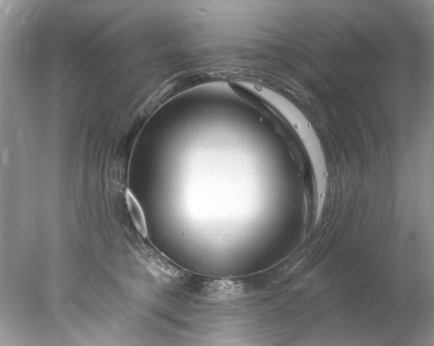 X0000078030421200611101918