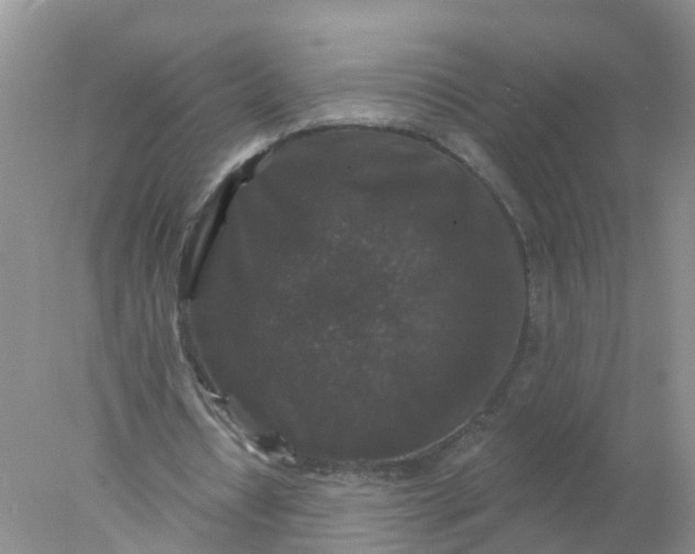 X0000078030434200611101917