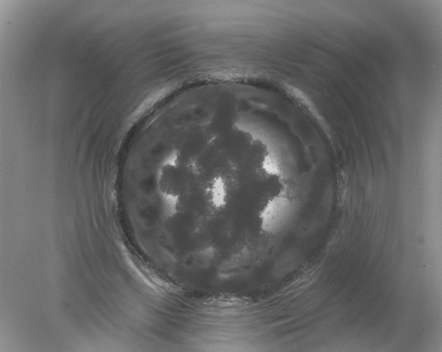 X0000078030443200611101917