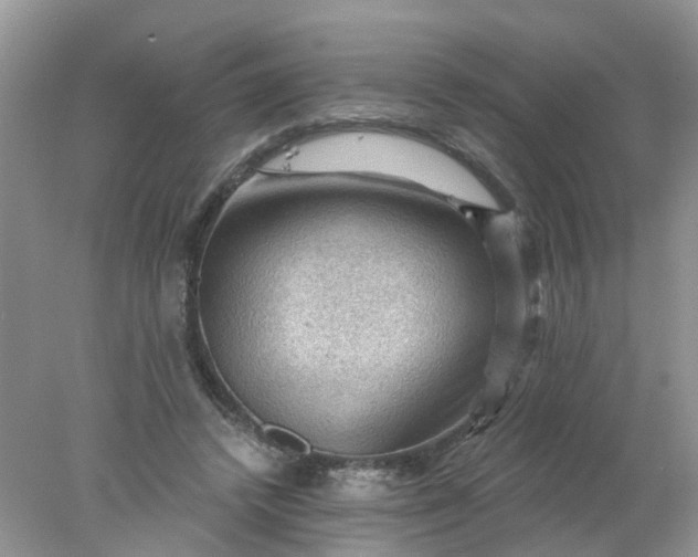 X0000078030448200611101917