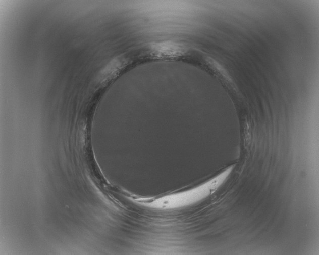 X0000078030451200611101917