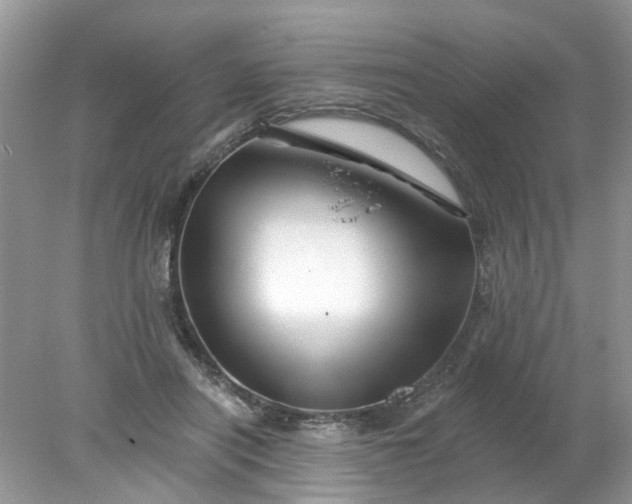 X0000078030454200611101917