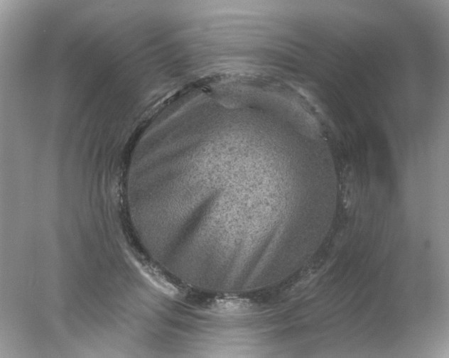 X0000078030455200611101917