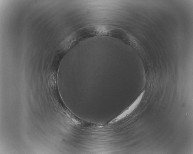 X0000078030467200611101917