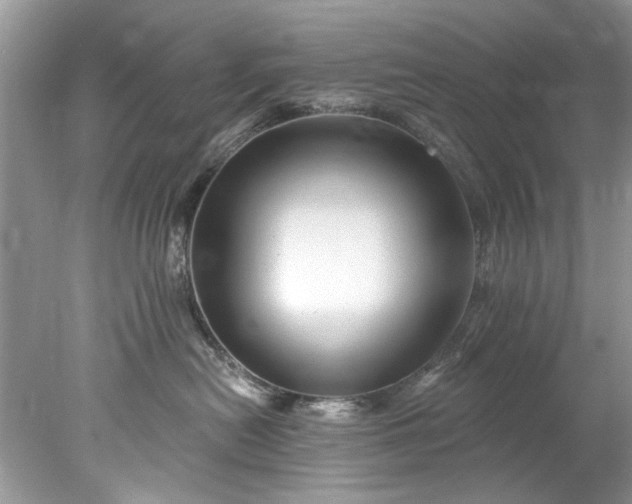 X0000078030478200611101917