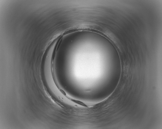 X0000078030485200611101917
