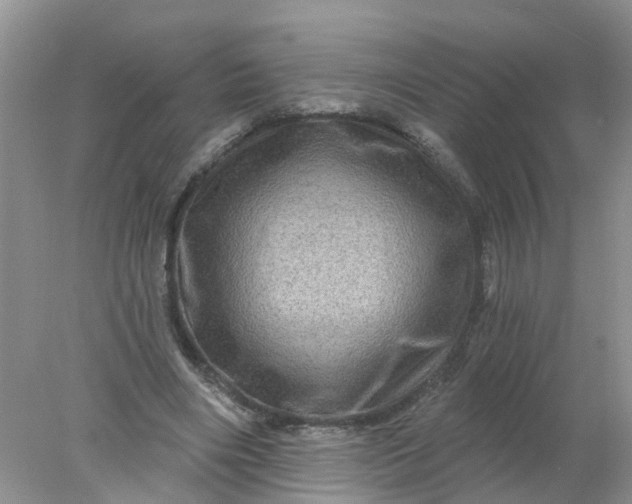 X0000078030490200611101917