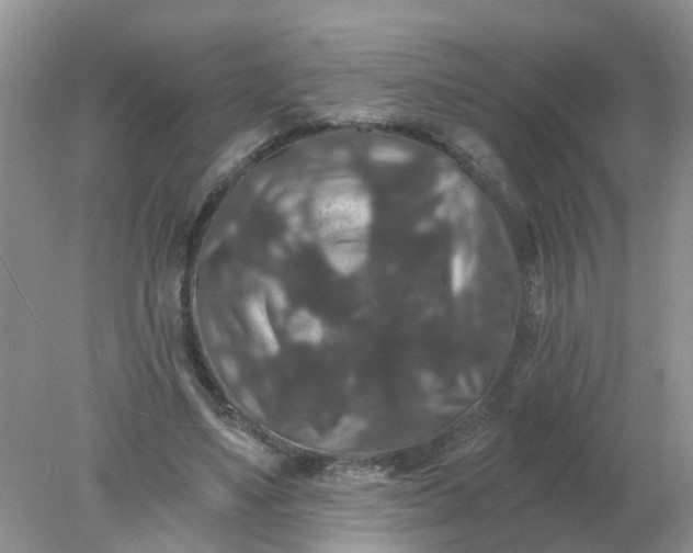 X0000078030491200611101917