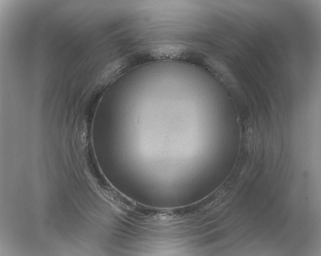 X0000078030498200611101916