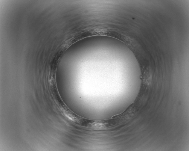 X0000078030518200611101916