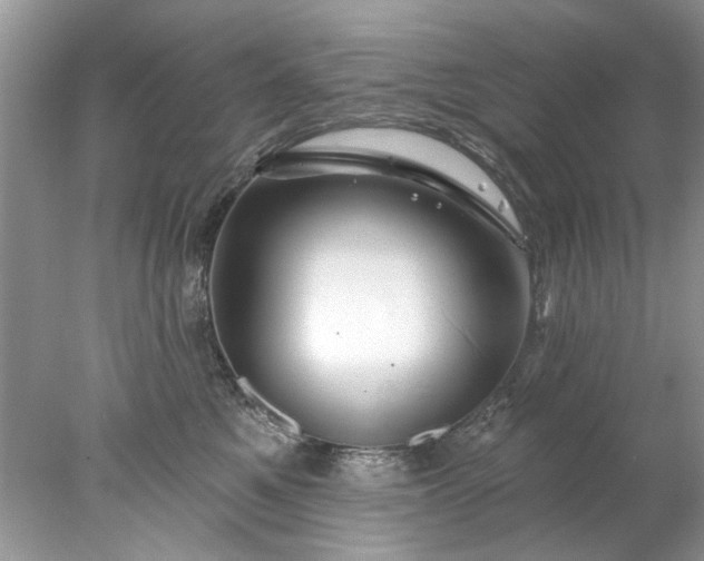 X0000078030521200611101916