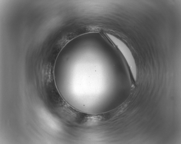 X0000078030525200611101916
