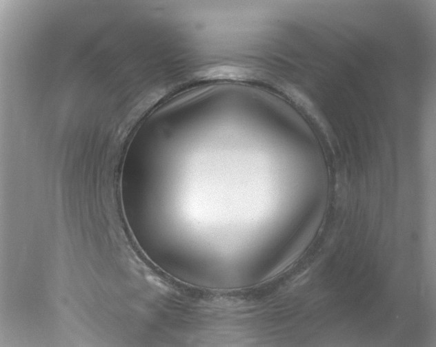 X0000078030529200611101915