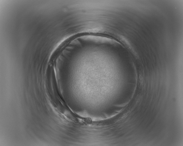 X0000078030532200611101915