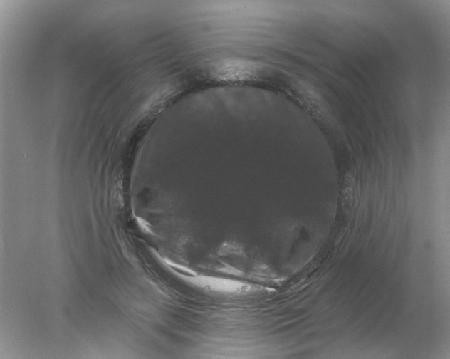 X0000078030547200611101915