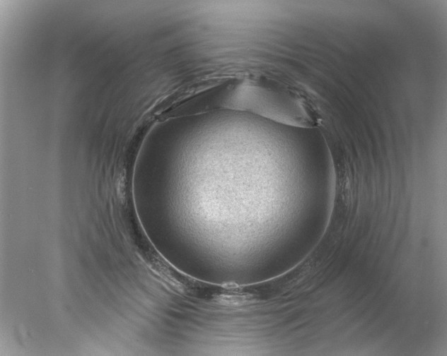 X0000078030556200611101916