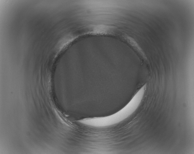X0000078030588200611101915