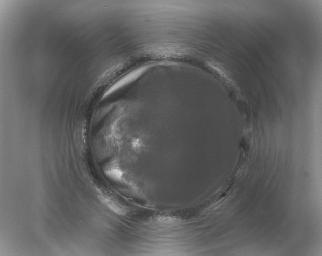 X0000078030590200611101915