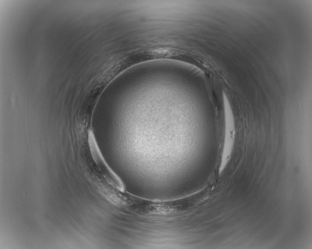 X0000078030601200611101915