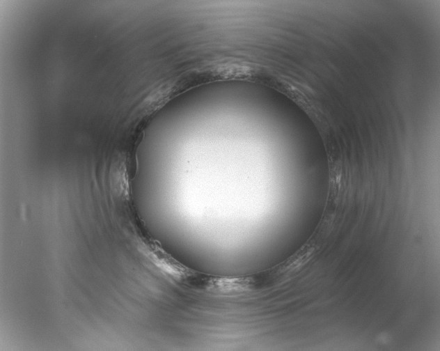 X0000078030622200611101914