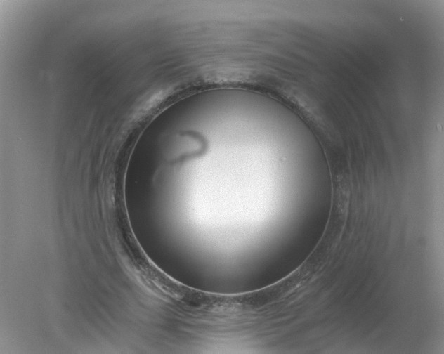 X0000078030631200611101914