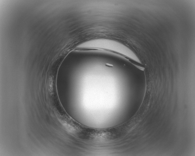 X0000078030646200611101914
