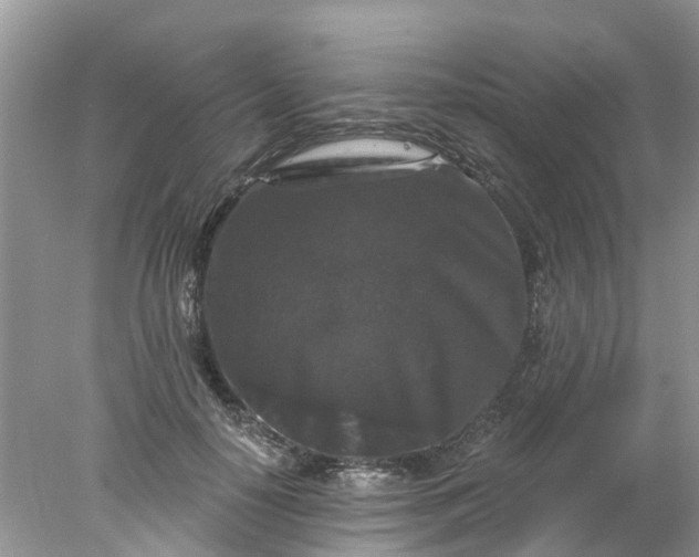 X0000078030650200611101914