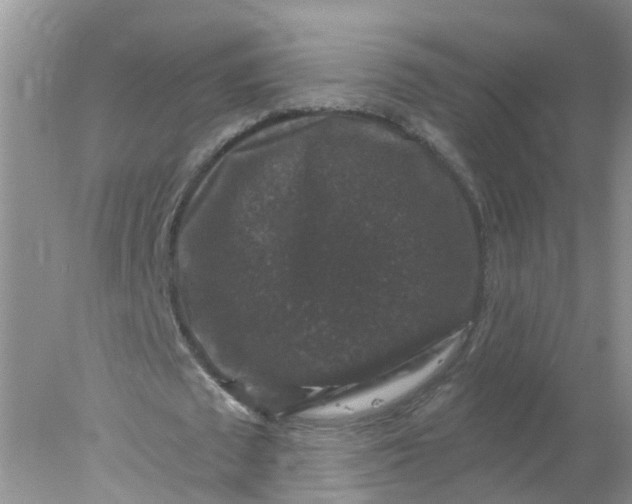 X0000078030673200611101913