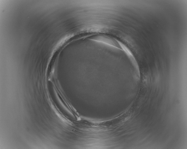 X0000078030678200611101913
