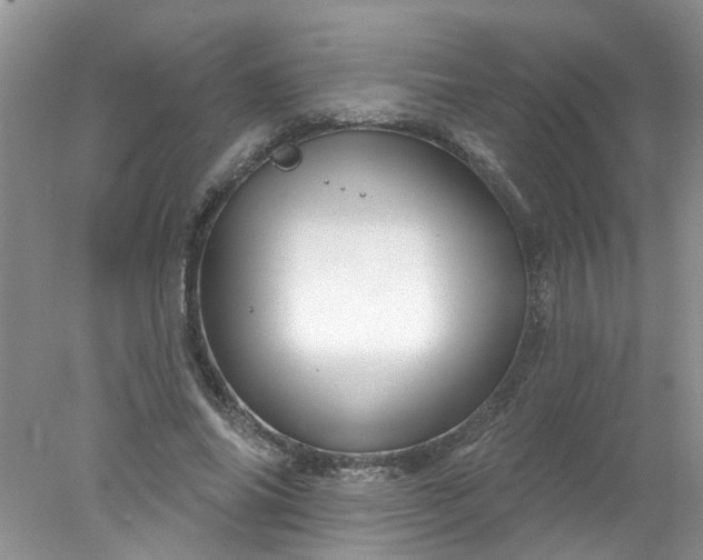 X0000078030686200611101913