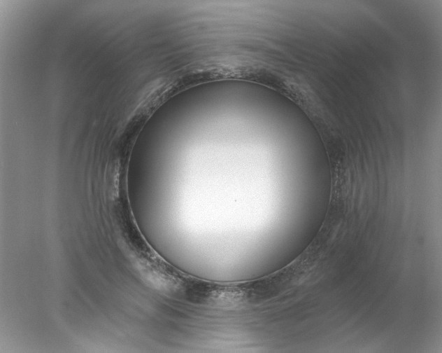 X0000078030694200611101913