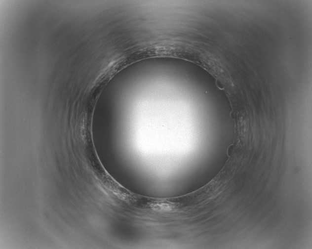 X0000078030698200611101913
