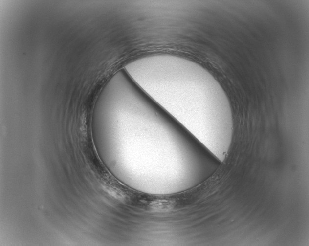 X0000078030700200611101913