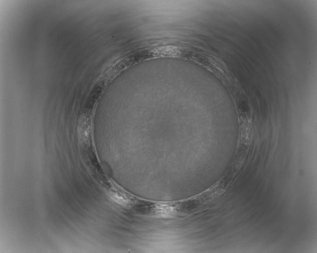X0000078030701200611101913