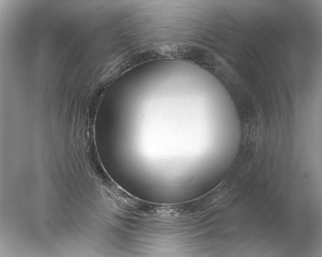 X0000078030702200611101913