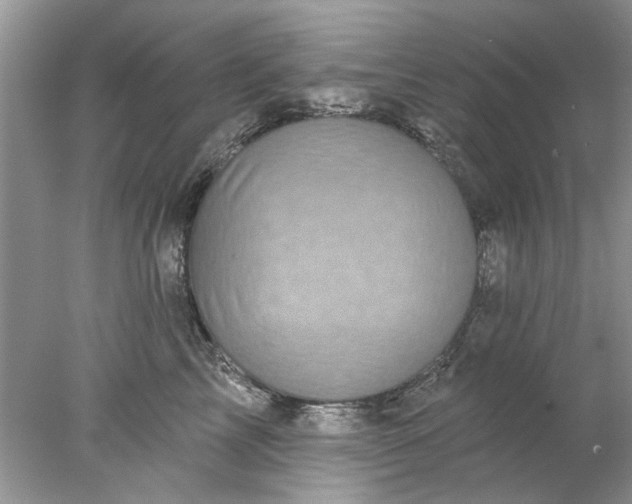 X0000078030713200611101913