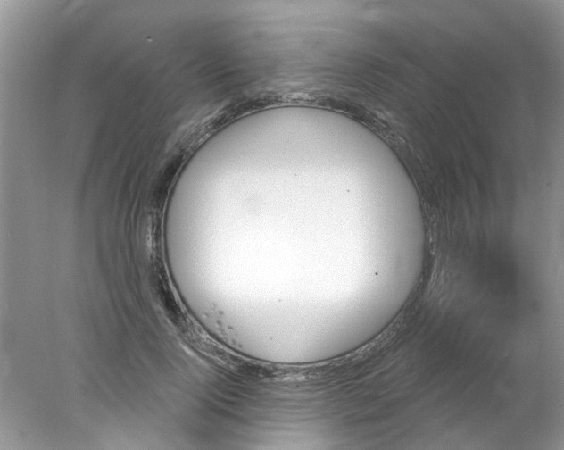 X0000078030740200611101912