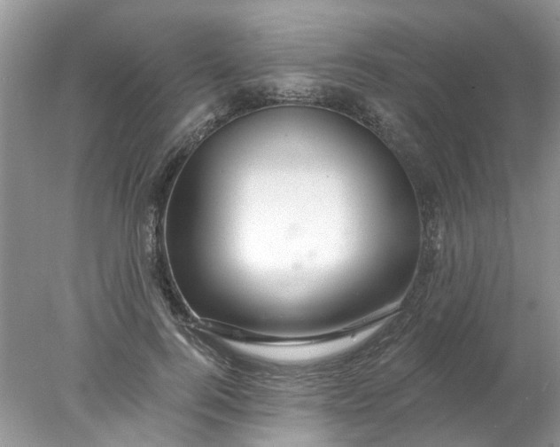X0000078030744200611101912