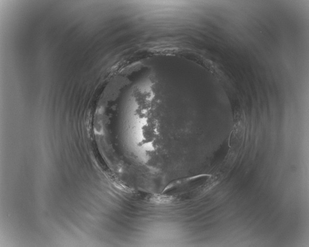 X0000078030767200611101913