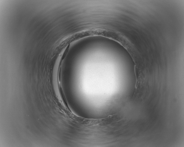 X0000078030773200611101912