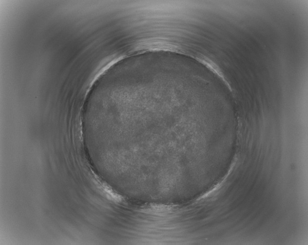 X0000078030782200611101912